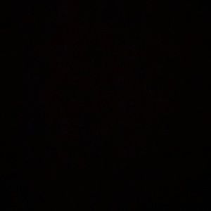 Meet your Posher, Lily